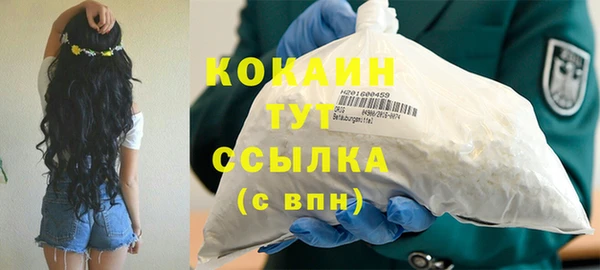 гашик Михайлов