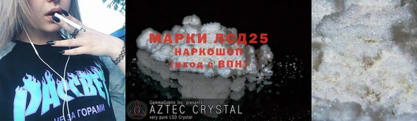 ГАЛЛЮЦИНОГЕННЫЕ ГРИБЫ Медногорск