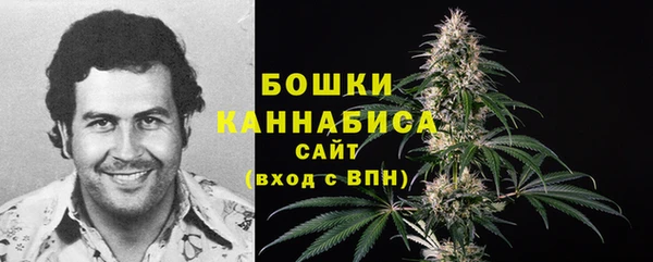 ешки Медвежьегорск