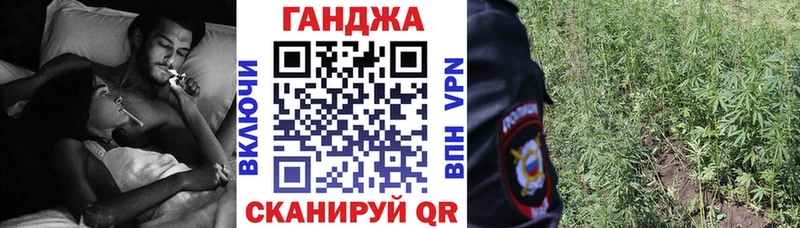 Шишки марихуана сатива  Купить где  Щёлково 